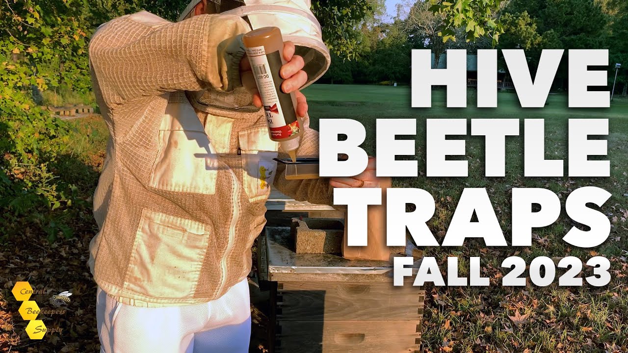 Hive Pest Control 101: Small Hive Beetle Traps