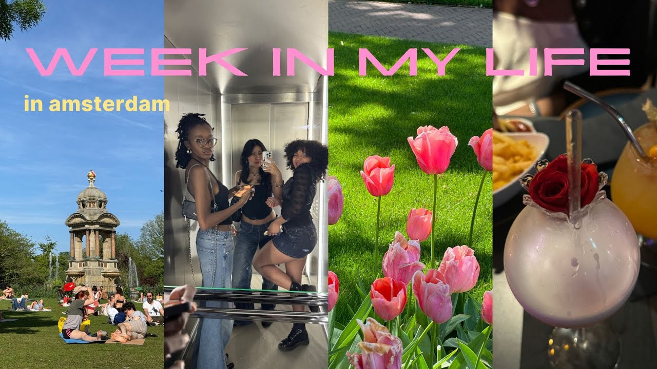 week in the life of a study abroad student in amsterdam (uva) | uni vlog
