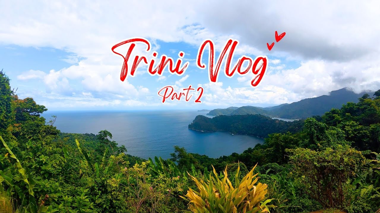 Trini Christmas Vlog Part 2 - Go-Karting, Restaurants, Beach and Coffee
