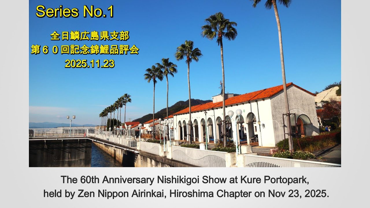The 60th Anniversary Nishikigoi Show presented by Zen-Nippon Airinkai, Hiroshima Branch — Epi 1