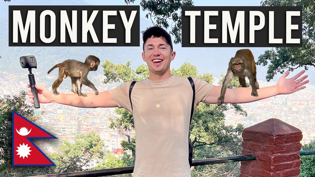 Я не ожидал такого в Храме обезьян в Непале🇳🇵