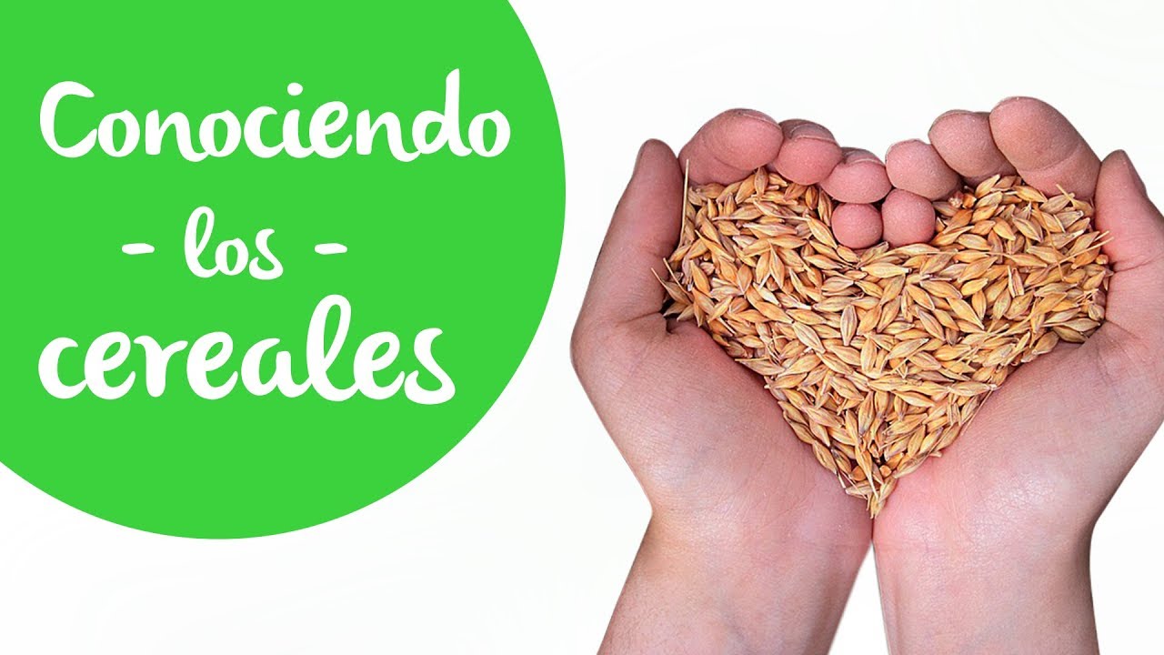 Cereales: Cu&aacute;les son, d&oacute;nde se encuentran, cu&aacute;les deber&iacute;as consumir y por qu&eacute;