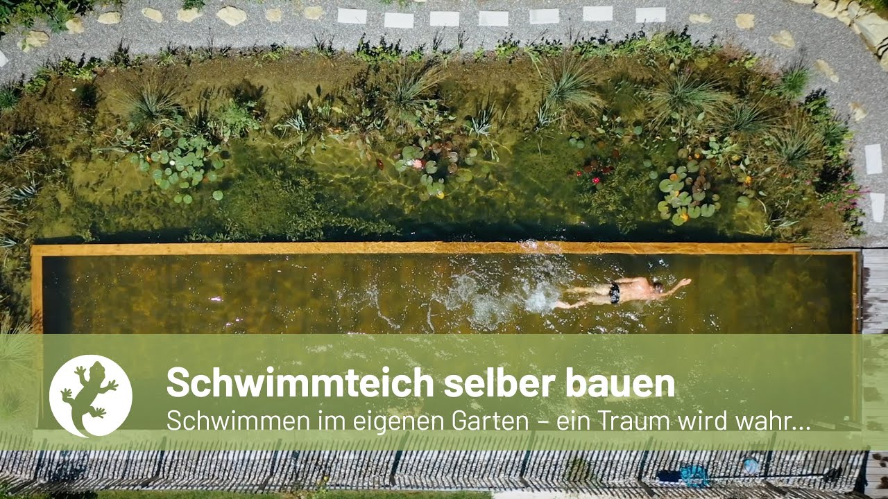 DIY-Schwimmteich &middot; Testimonial &middot; Z&uuml;llig (Region Baden)