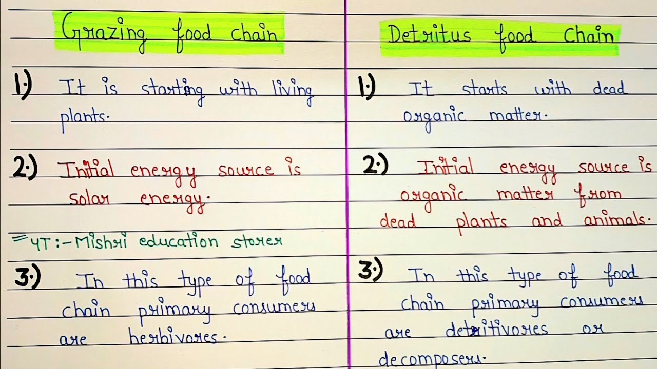Difference between grazing and detritus food chain | grazing food chain and detritus food chain