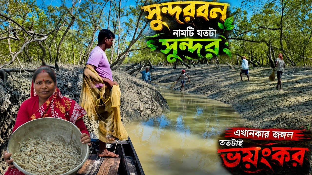 সুন্দরবনের ভয়ঙ্কর 