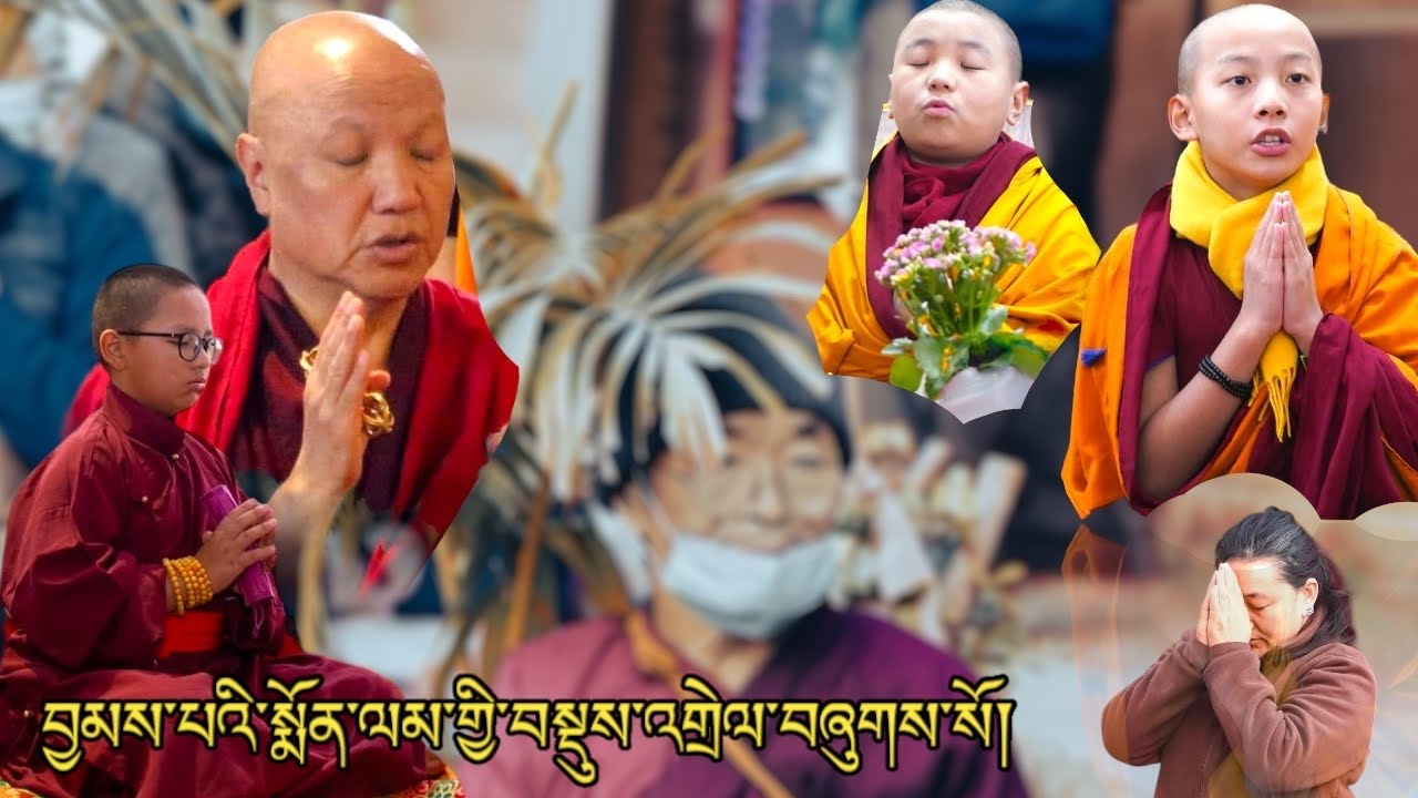 བྱམས་པའི་སྨོན་ལམ་གྱི་བསྡུས་འགྲེལ་བཞུགས་སོ། | #SangyeNyenpaRinpoche | #Kangyur | #Peace | #Buddha |