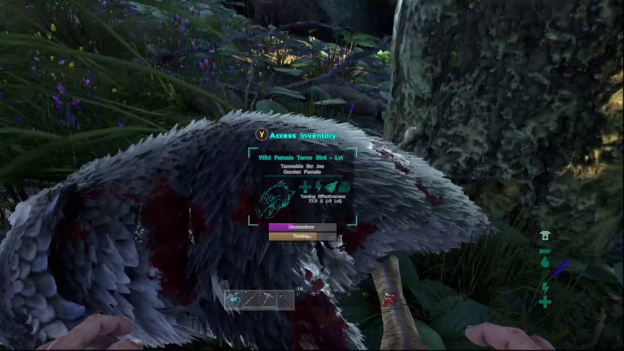 Looking at the New Ark map The Center #1