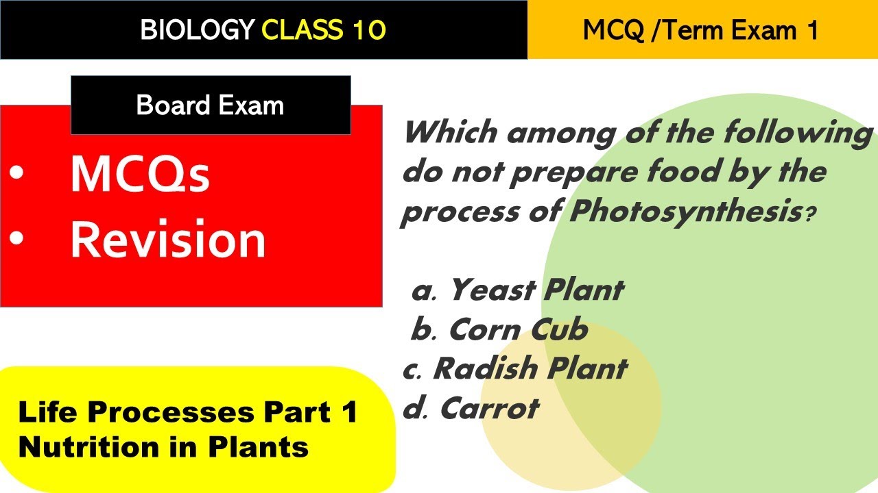 Class 10 Biology MCQs Chapter 6 Life Processes Part 1 Nutrition in Plants #Biology MCQs Class 10