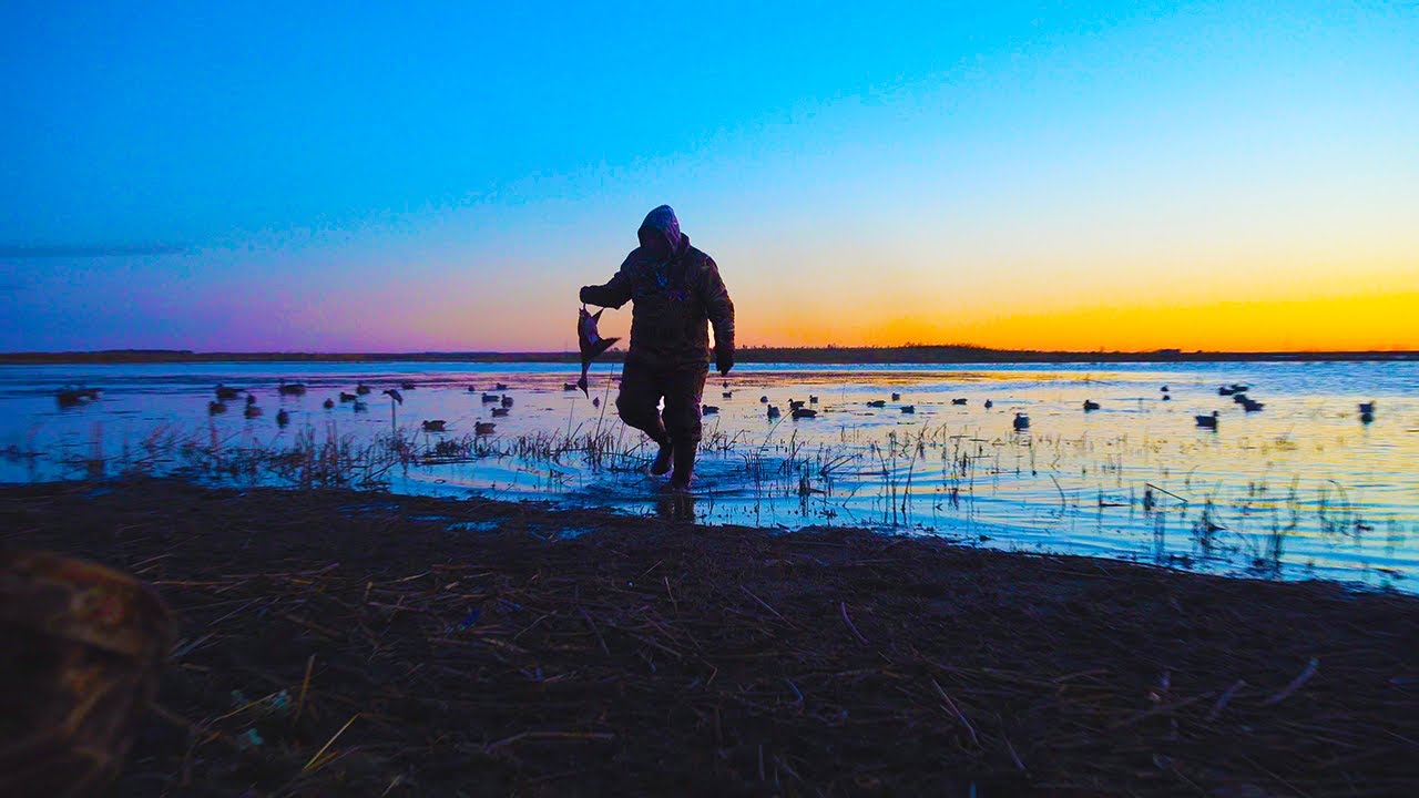 NORTH DAKOTA FREE-LANCE WATERFOWL HUNTING!