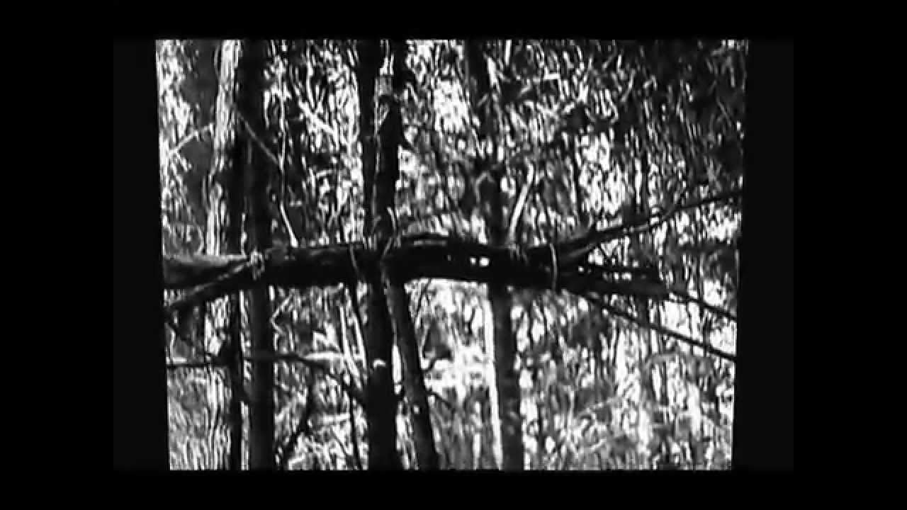 Glitch Art Experimental Film: The Battle of Dark and Light; Witches and Satan