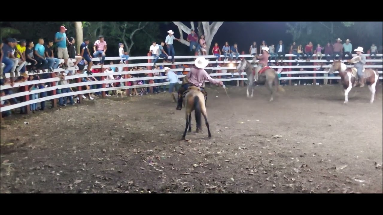 jaripeo ranchero celebrado en San Francisco Chontla Ver