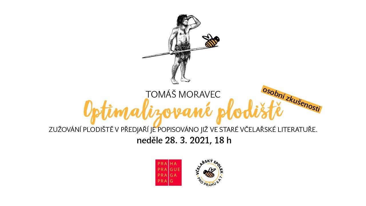 TOMÁŠ MORAVEC: OPTIMALIZOVANÉ PLODIŠTĚ – OSOBNÍ ZKUŠENOSTI