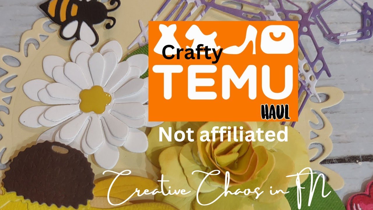 Temu Crafty  Die Haul with examples!