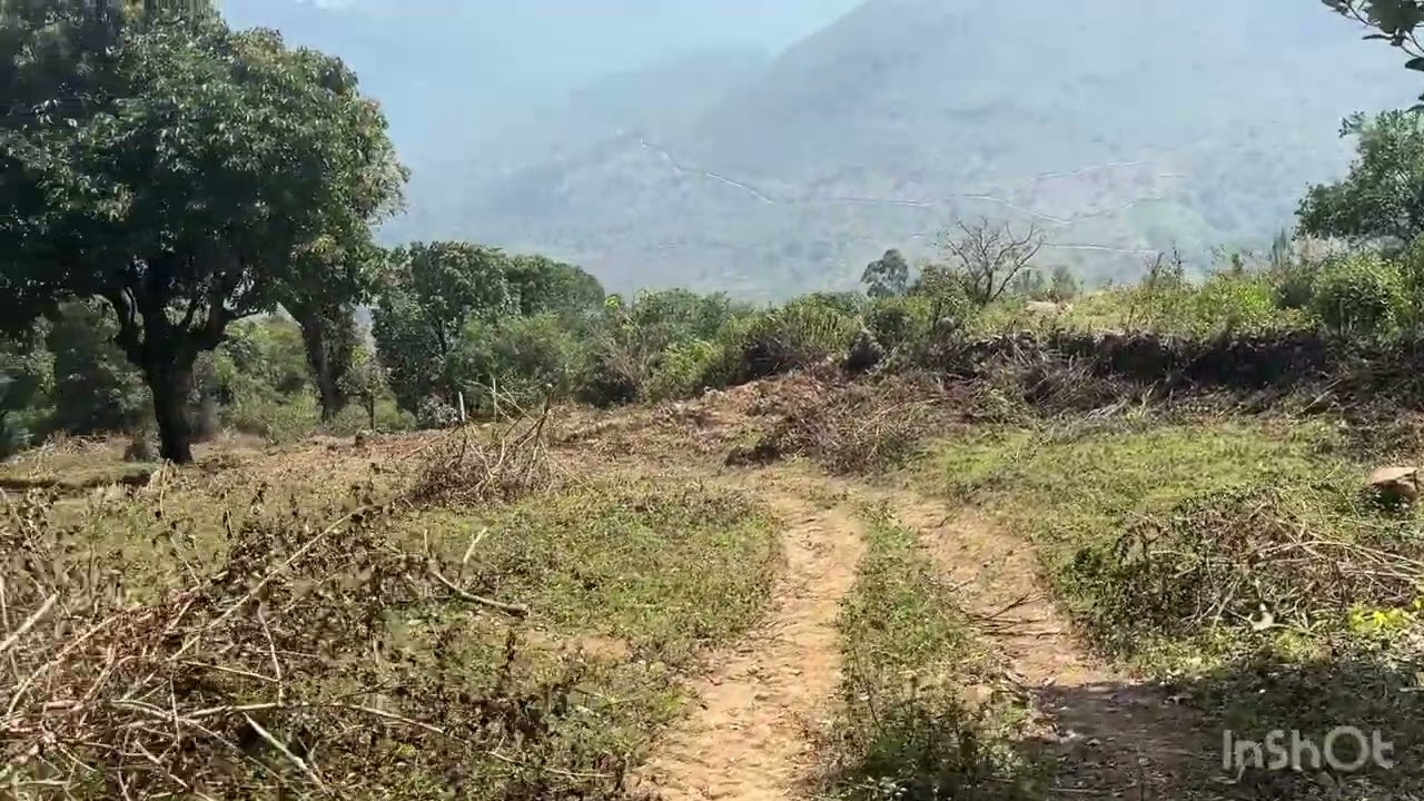 Kodaikanal vil patti 3 acres patta land sale con:- 9361146162