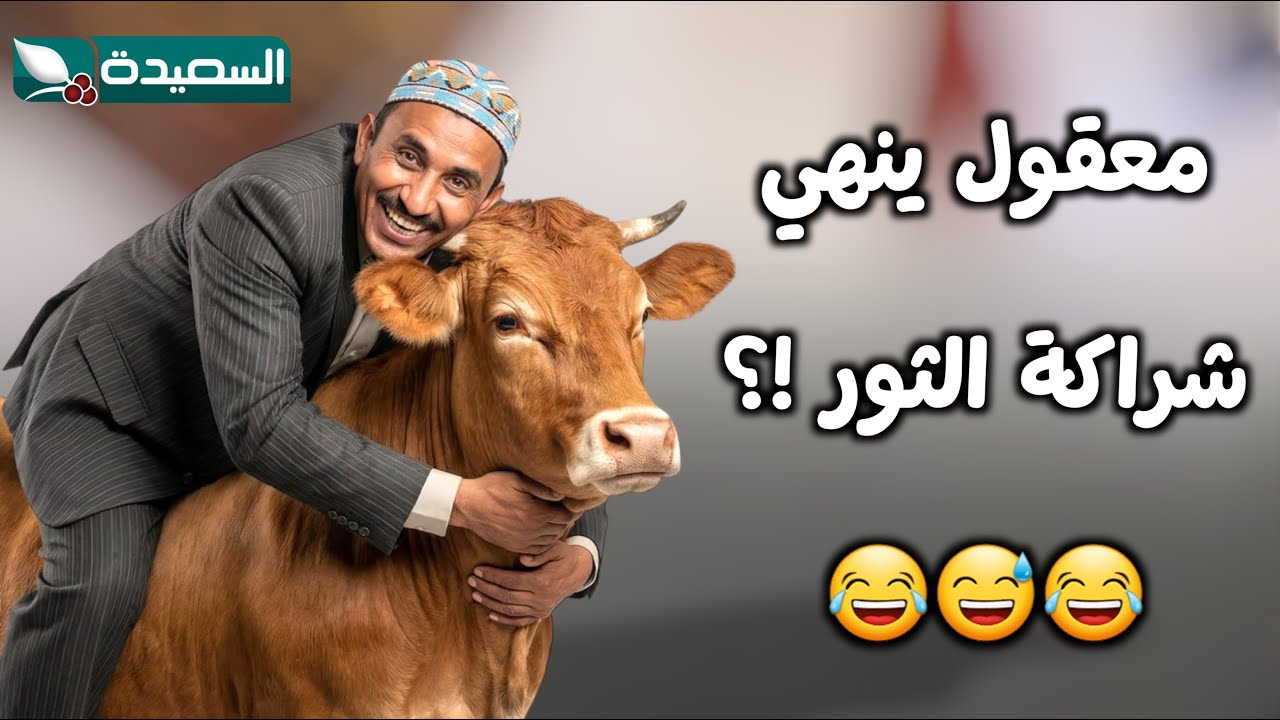 الطمع لعب بعقله وخلاه يفكر ينهي شراكة الثور🐂 😂 – مسلسل حاوي لاوي