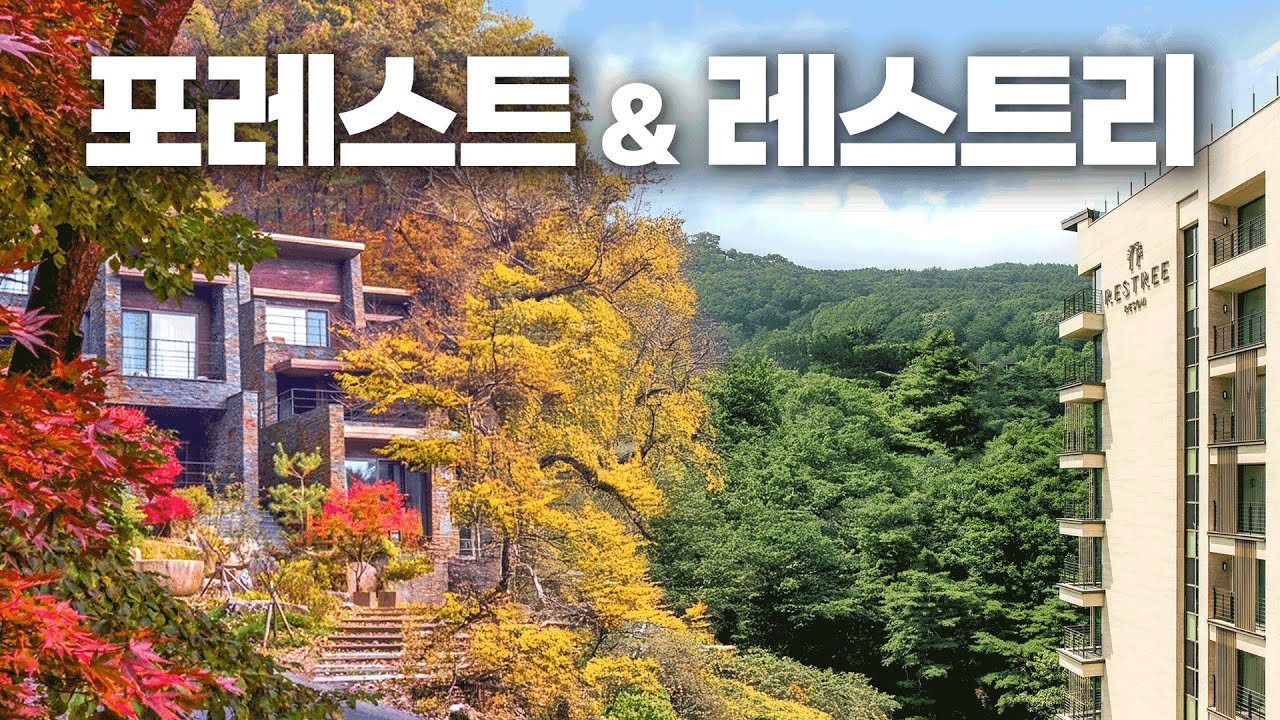 🌳숲속🌳온천 리조트♨️제천 포레스트 & 레스트리 리솜🏨