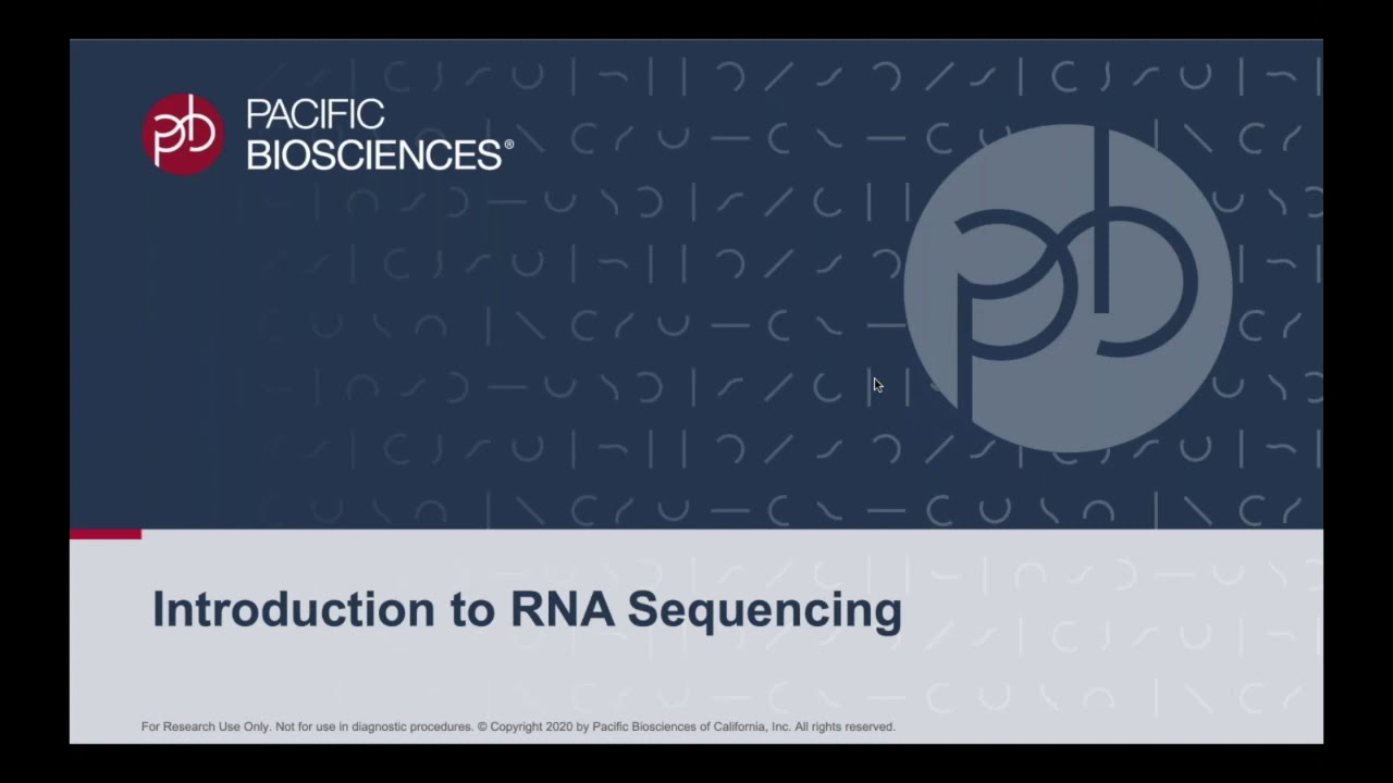 Application Tutorial: Introduction to Full-Length RNA Sequencing with HiFi Reads