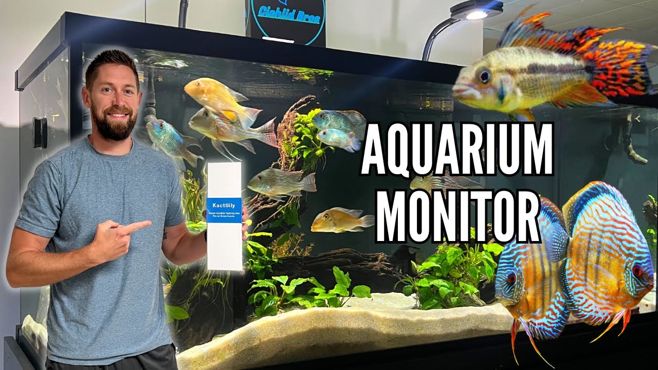 Easily Maintain Water Parameters with the Kactoily 7-in-1 Aquarium Monitor
