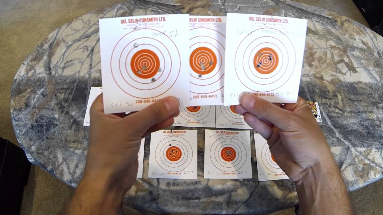 Aguila Standard vs CCI Standard!! *22LR REVIEW*