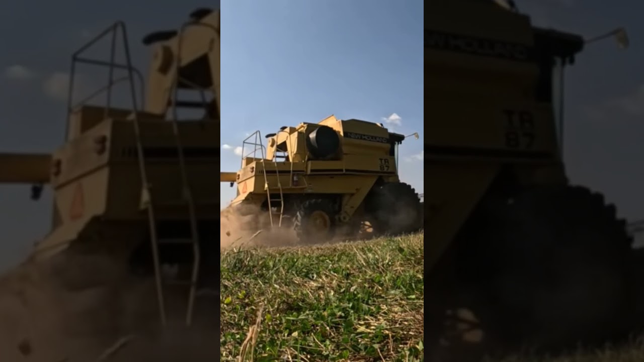 Harvesting Soybeans with a New Holland TR87 Combine