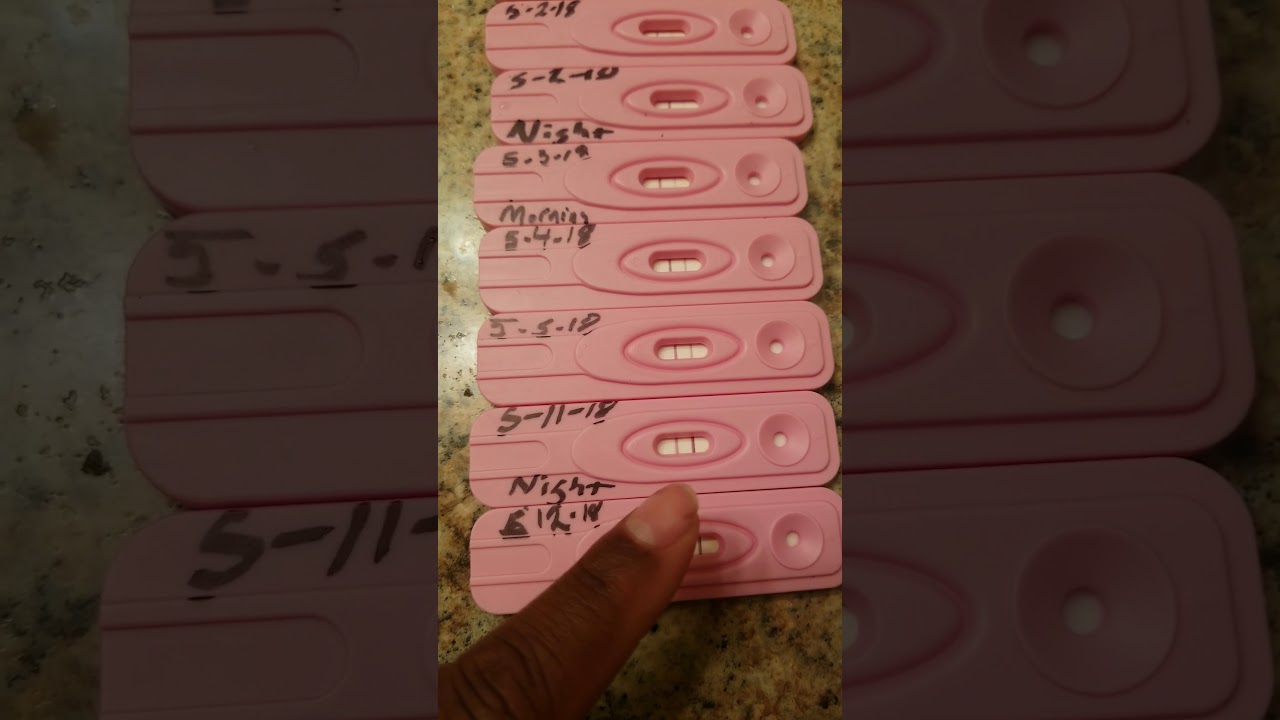 Dollar tree assure pregnancy test line progression HCG from 3 weeks pregnant to 5 weeks pregnant