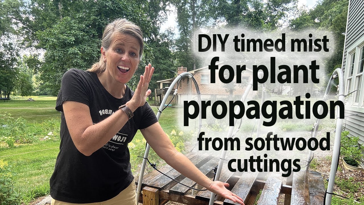 DIY Timed Mist for Plant Propagation from Cuttings