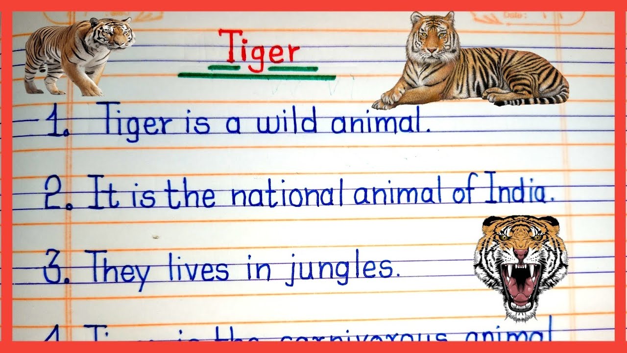 10 Lines Essay On Tiger In English l Essay On Tiger l International Tiger Day Essay l Tiger Essay l
