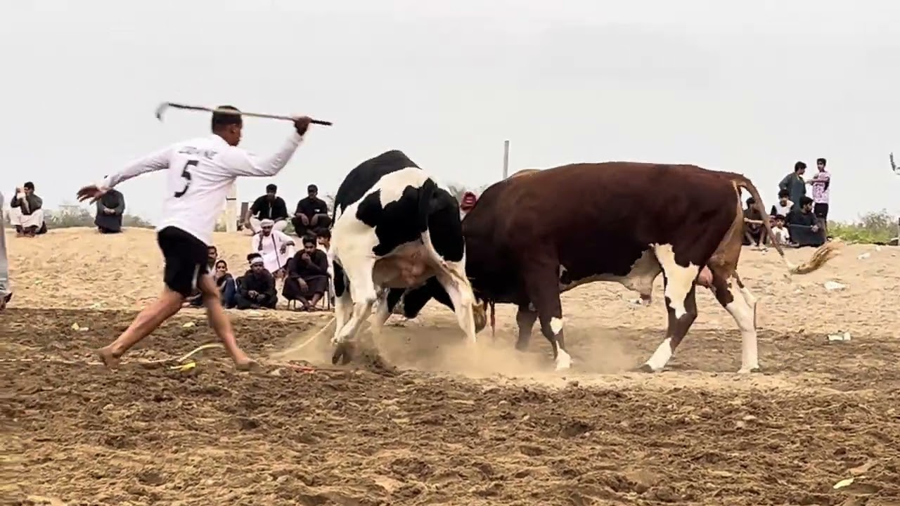 جمارك & نار