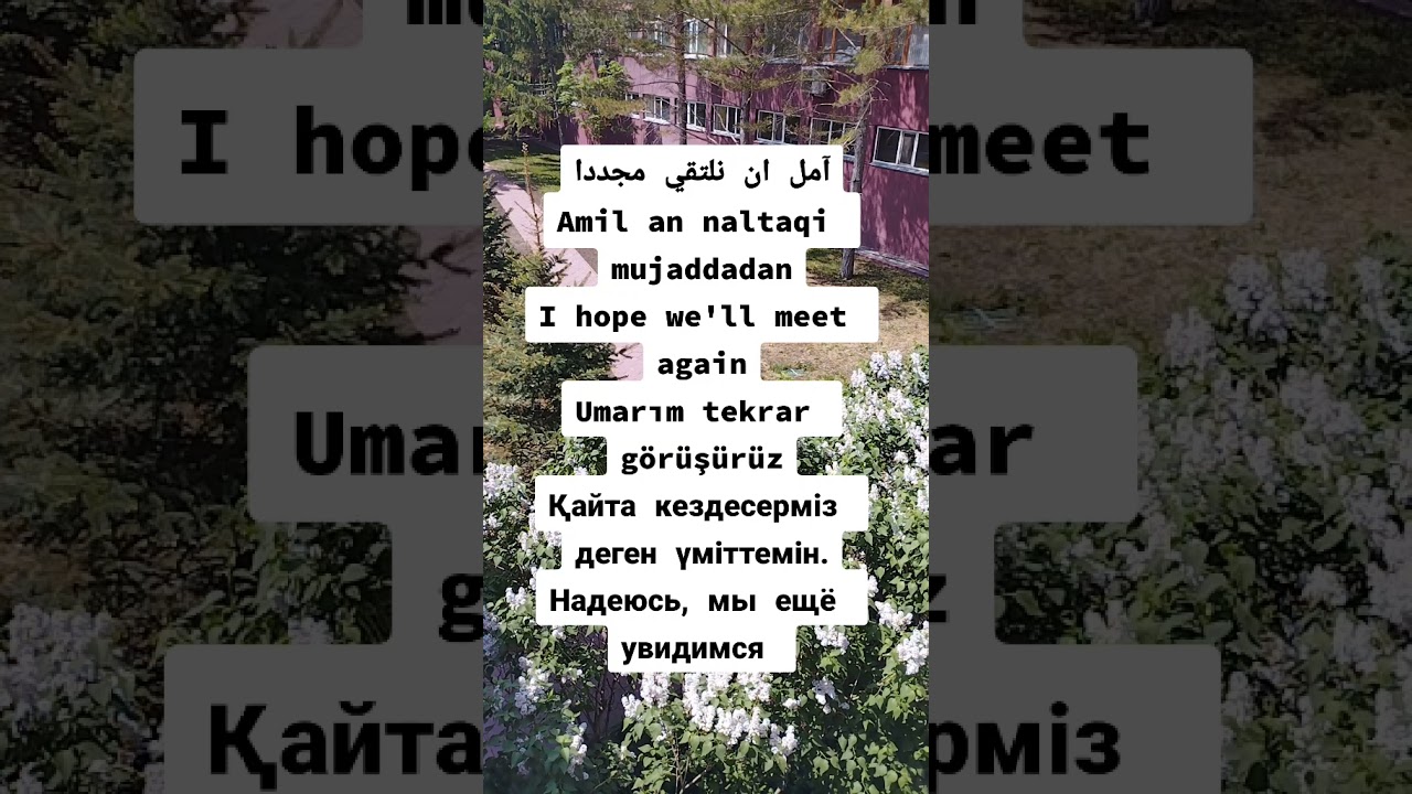 Learning Arabic, Turkish English, Kazakh simultaneously 