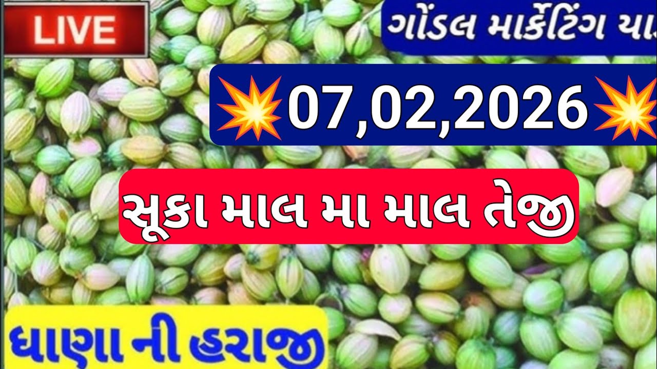 ગોંડલ નવા ધાણા ના બજાર ભાવ / નવા ધાણા ના બજાર ભાવ / નવા ધાણા ના બજાર ભાવ આજના /07,02,2026