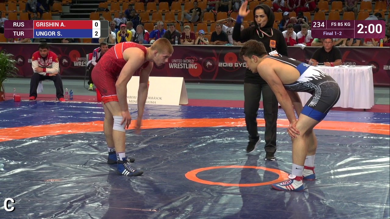 GOLD FS - 85 kg: A. GRISHIN (RUS) v. S. UNGOR (TUR)