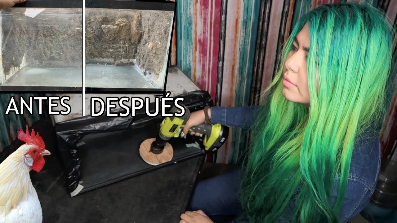 COMO ELIMINAR RAYADURAS EN UN ACUARIO...POR SIEMPRE?!!