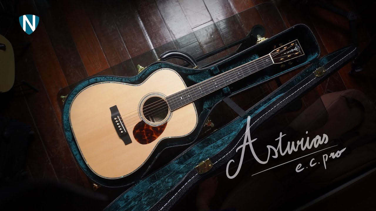 กีตาร์ราคาหลักแสนจากแดนปลาดิบ เล่นแล้วไม่อยากจะวาง [ รีวิว ASTURIAS E.C. PRO ราคา 11x,xxx ฿ !! ]