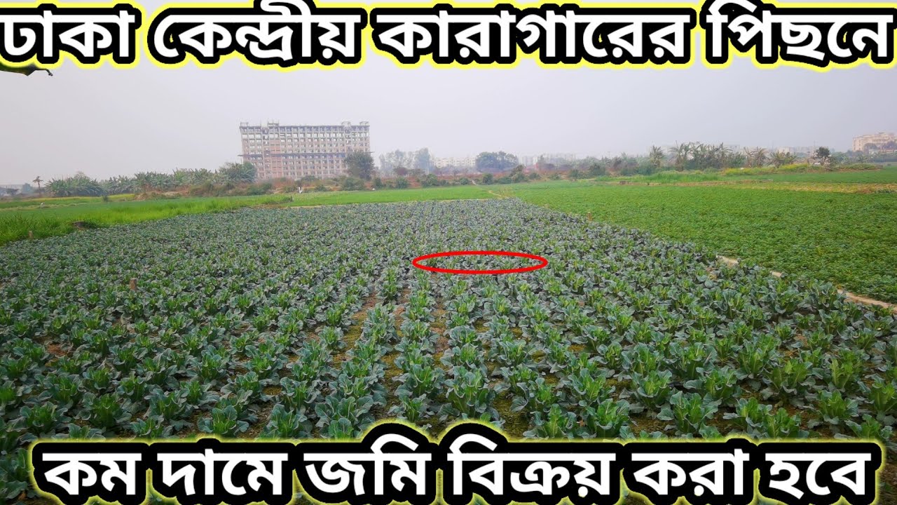 ঢাকা কেন্দ্রীয় কারাগারের পিছনে কম দামে জমি বিক্রয় করা হবে ?