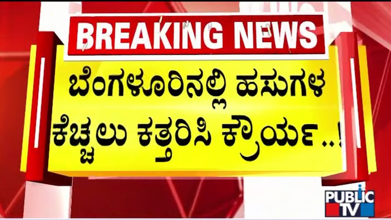 Cottonpet Police Arrest One Person In Connection With Chamarajpet Cows Case | Public TV