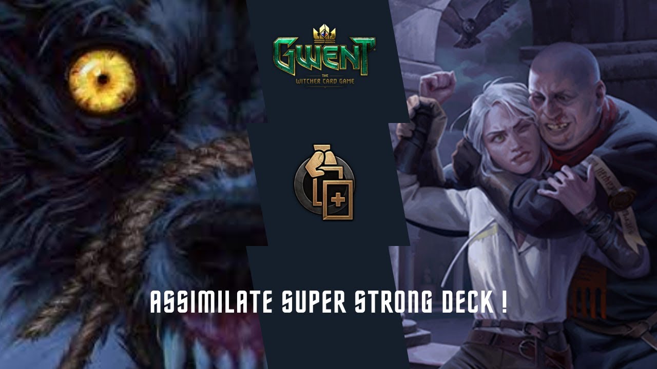 GWENT PRO RANK | Assimilate With Muzzle is So Good | Powerful and Has Counter For Most Decks #gwent