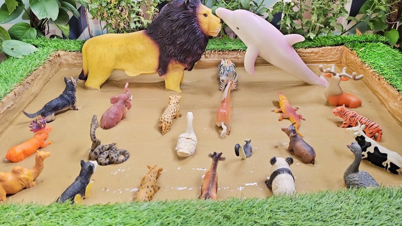 Jump Into the Creepy World of African Wild and Jungle Animals for Toddlers