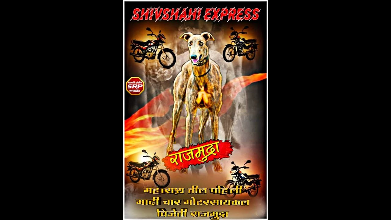 चार मोटरसायकल🛵🛵🛵🛵🔝💯 विजेती अशी ही शिवशाही एक्सप्रेस👑 राजमुद्रा🐕🔥🔝🔝💯