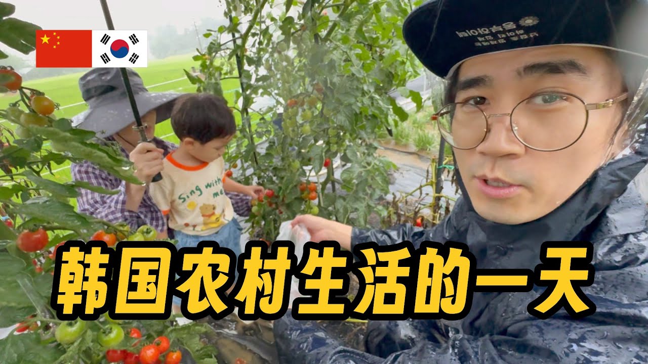 暴雨中下田，感受最真实的韩国农村生活/韩国2 폭우 속 밭일 체험, 찐 한국 시골 라이프 즐겨보기/한국2