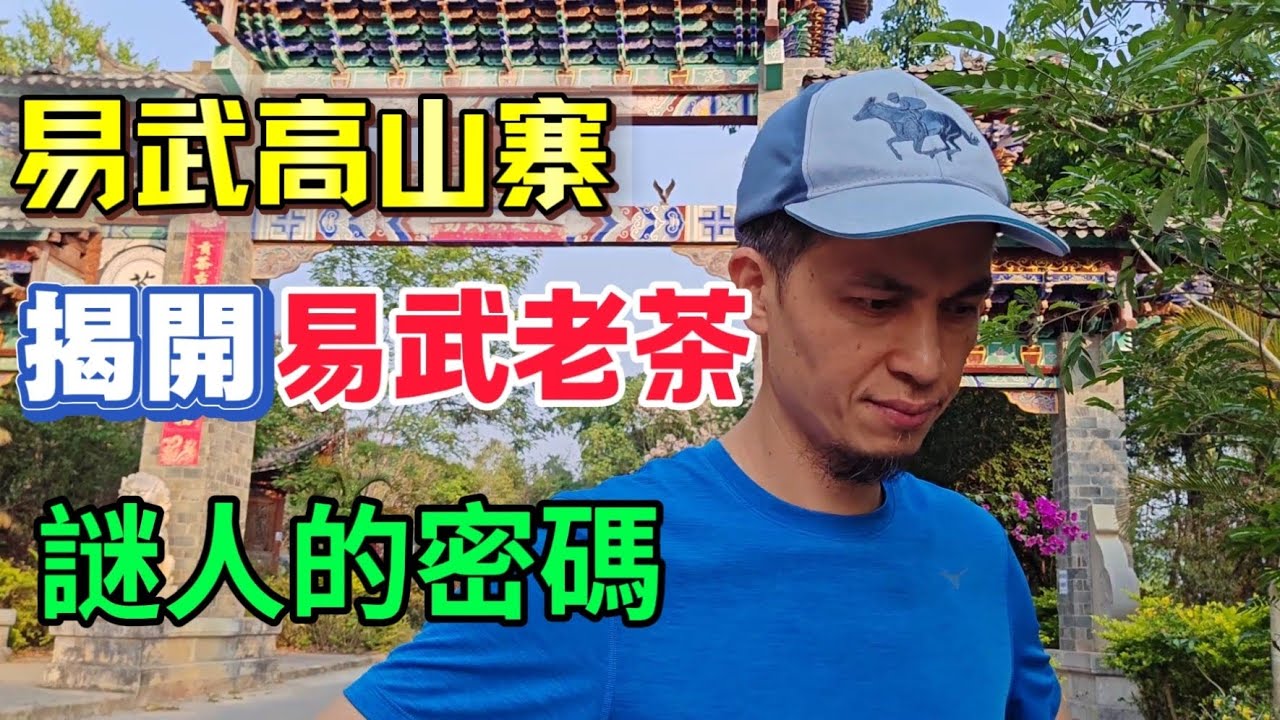 易武高山寨，揭秘易武老茶，陳年普洱茶的謎人密碼！