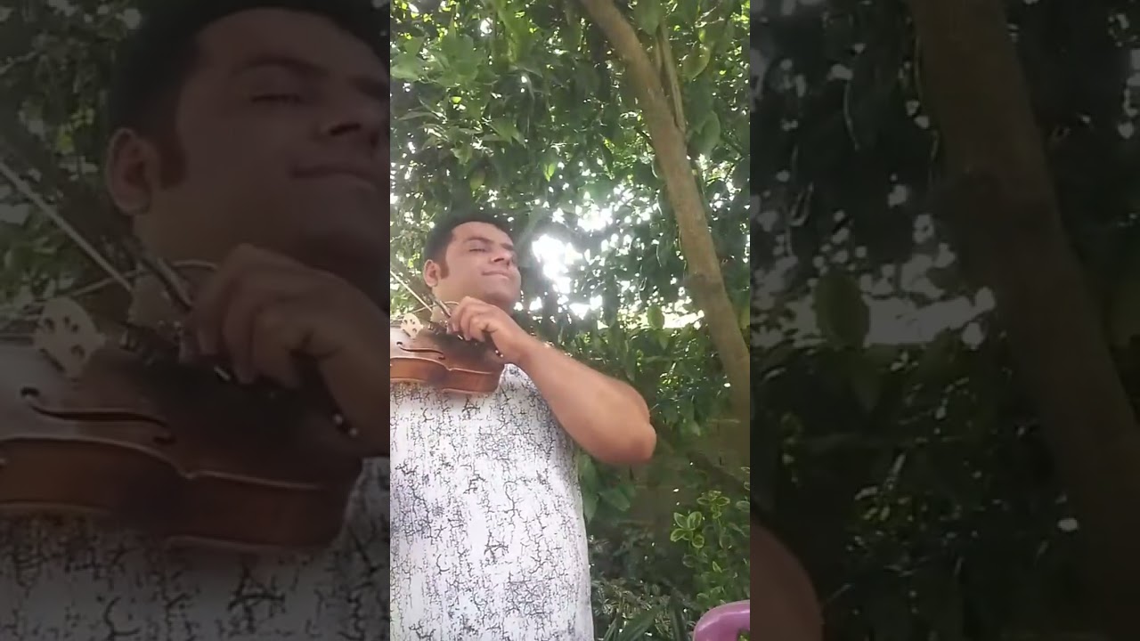 سخن کوتاه میکنم بریم یک ویدیو از نوازنده ویولون اقای هاشم سردابی معروف به (پنجه طلا) 🎻🎻🎻💃💃💃