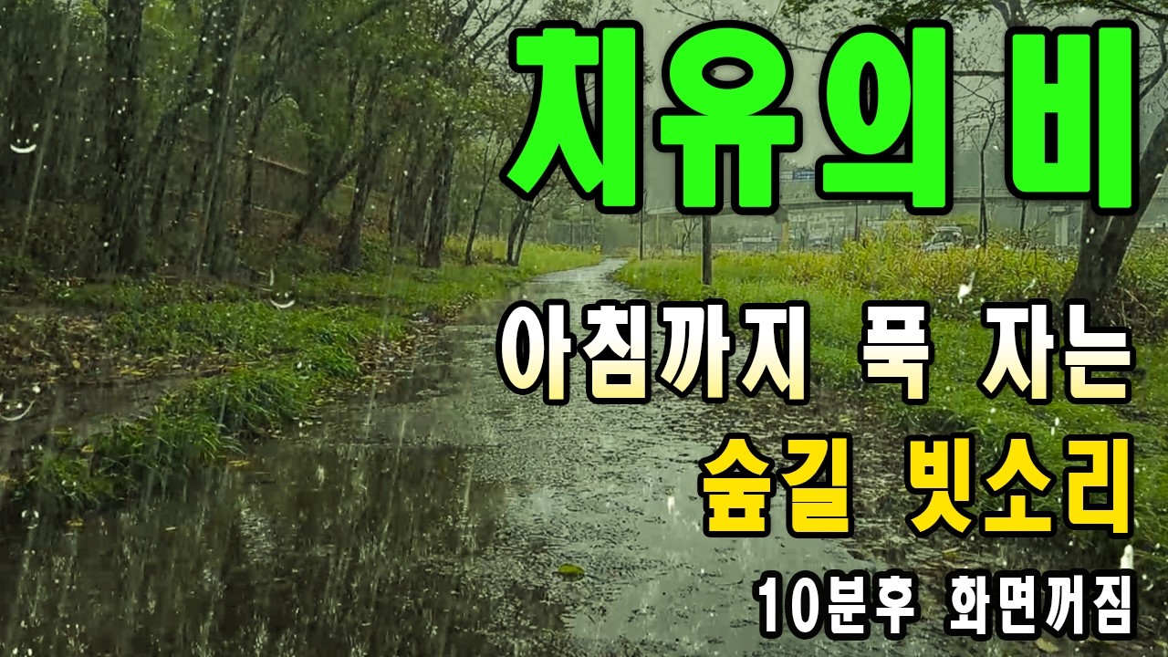 마음에 평화를 만드는 폭우 빗소리/ 이명치료효과/ 10분후 화면꺼짐