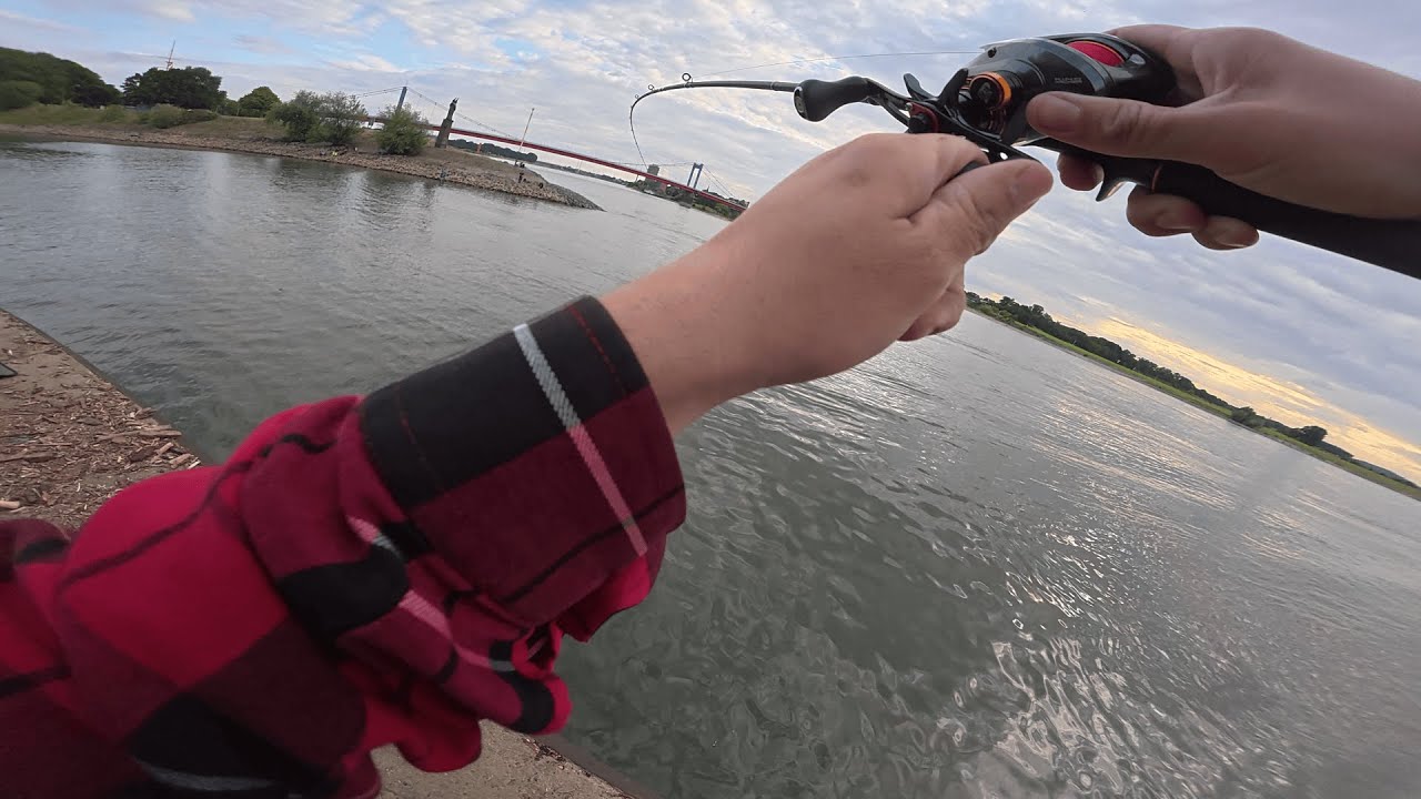 Zander Angeln mit der Baitcast am Duisburger Hafen