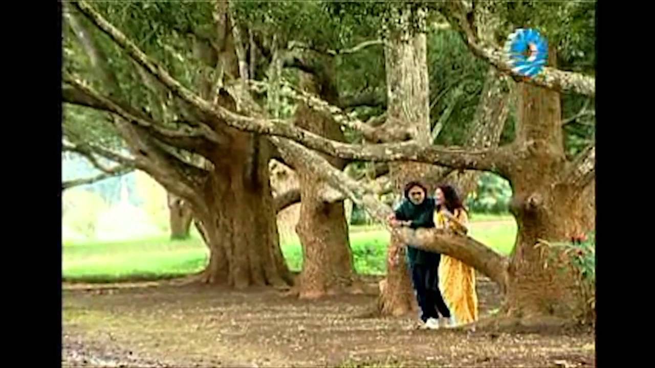Aung Yin & Mie Mie Win Pe - Taung Yan Lat Htat Yuu Pa Mae