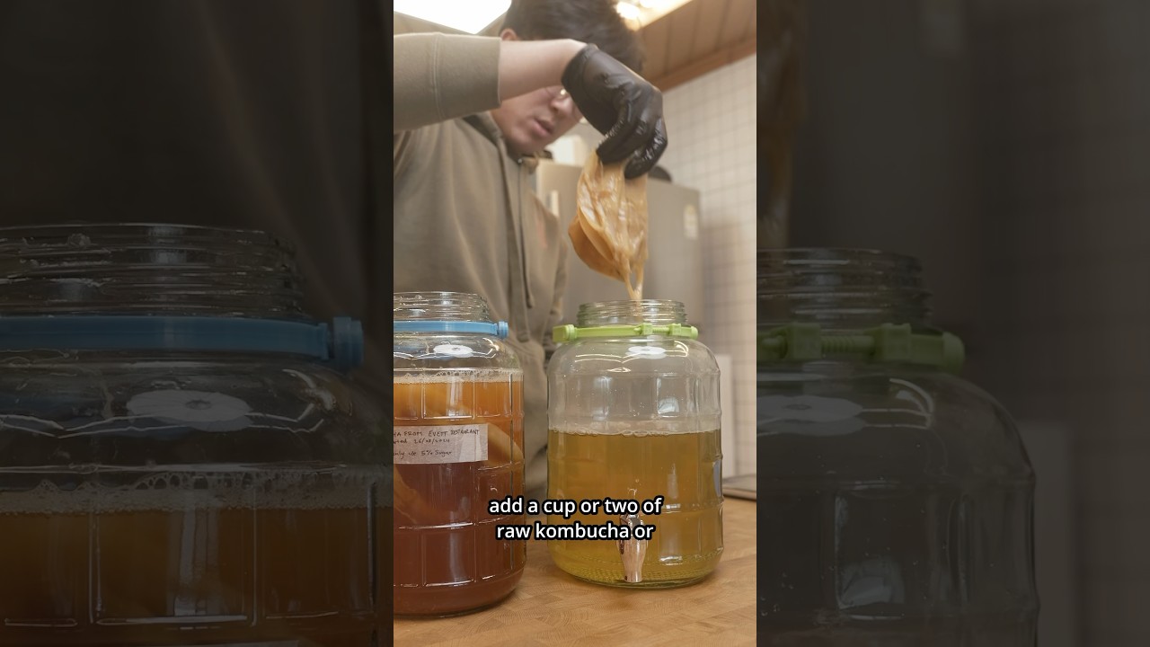 HOW TO MAKE A TON OF KOMBUCHA