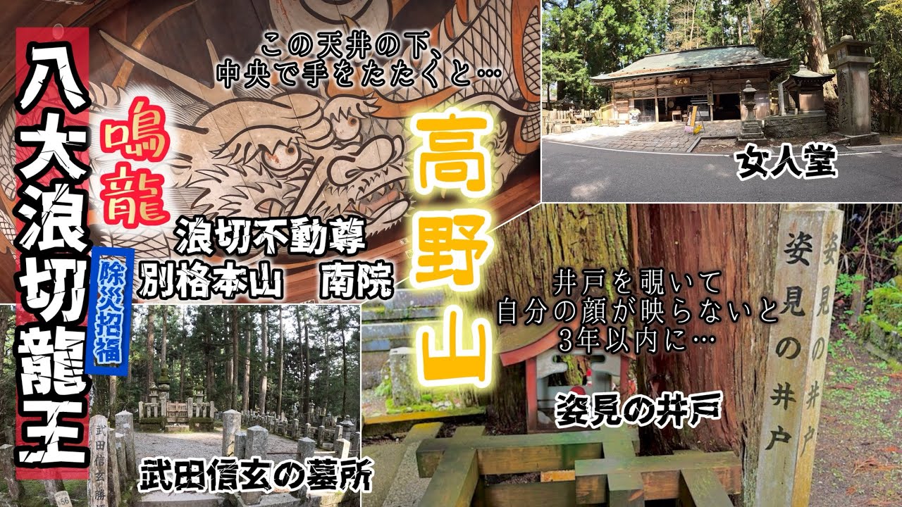 迫力の天井画🐉鳴龍「八大波切龍王」武田信玄の墓所、女人堂、姿見の井戸、汗かき地蔵、お化粧地蔵　奥の院　和歌山県高野山真言宗　弘法大師空海