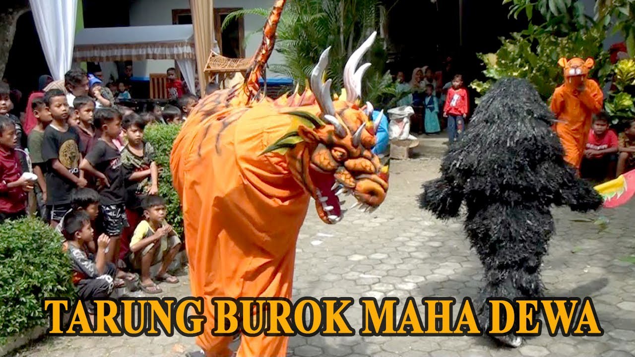 AKSI TARUNG BUROK MAHA DEWA | DKH.NANGGERANG