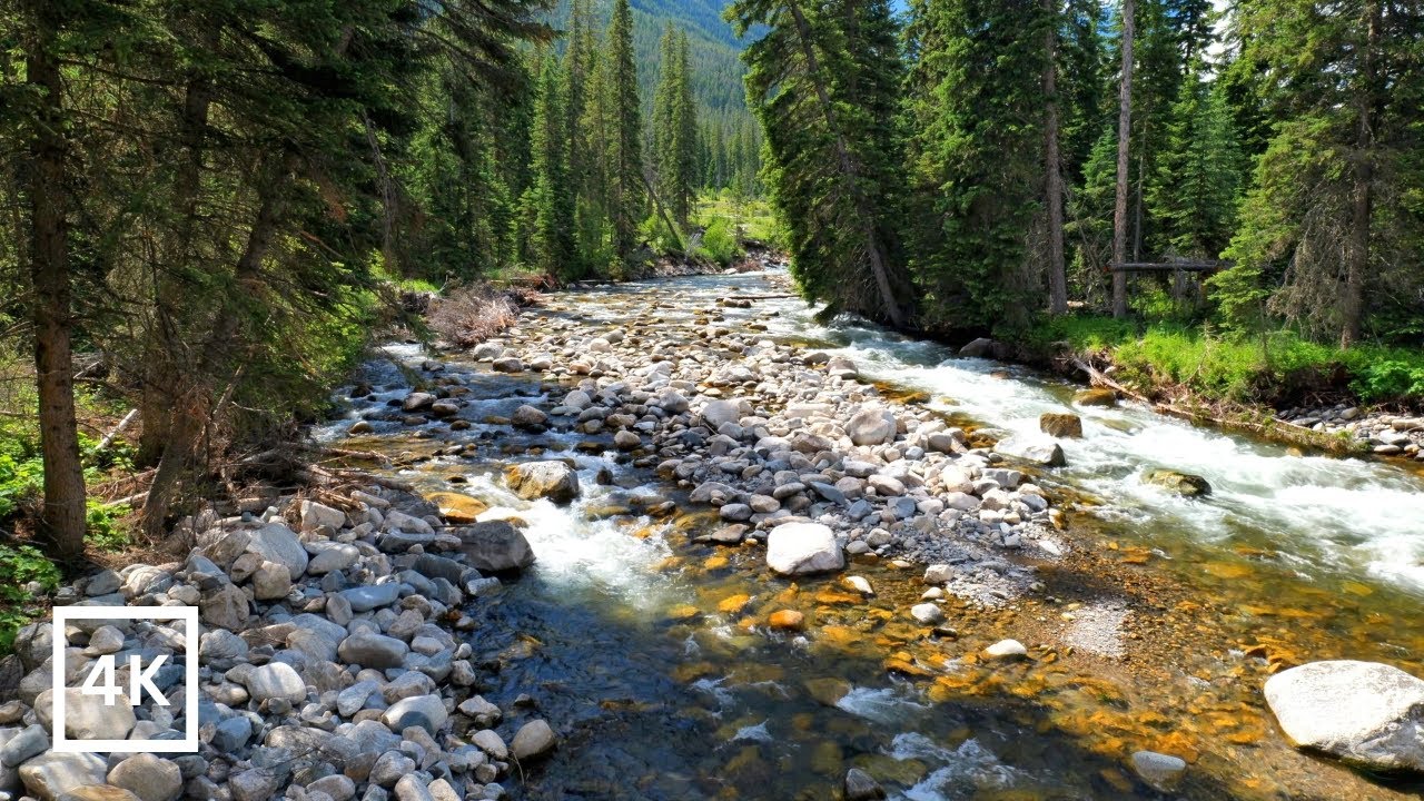 4K Summer River Rapids | Montana Backcountry | Forest River Nature Sounds | Relaxing Nature Ambience