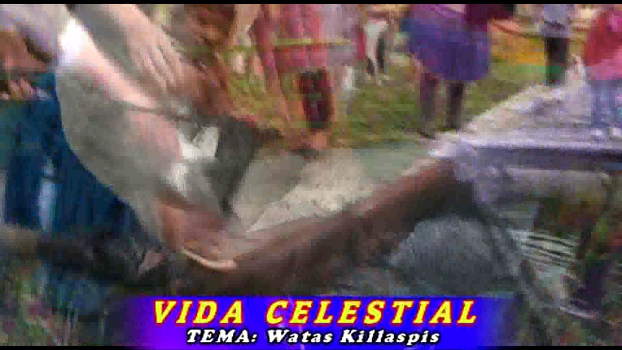 VIDA CELESTIAL_ WATAS KILLASPIS   Qhongota.                 (video Oficial)👍