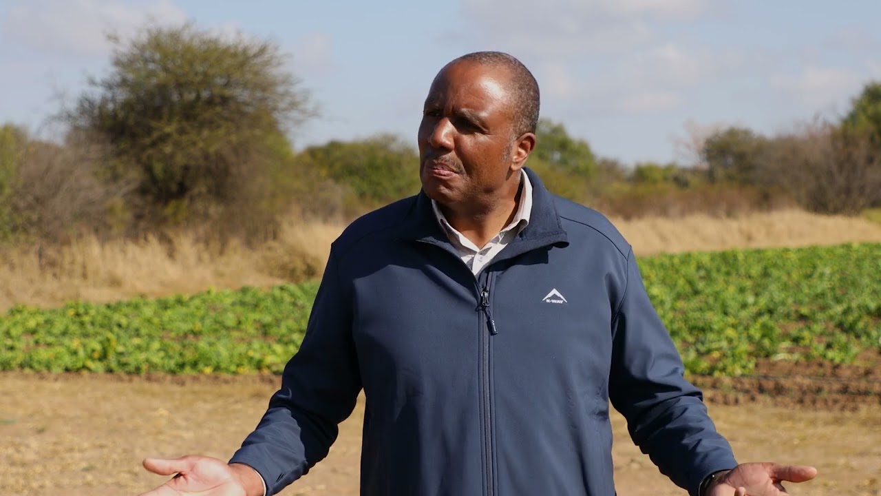 Here's what you need to know about Lemang's crop production course